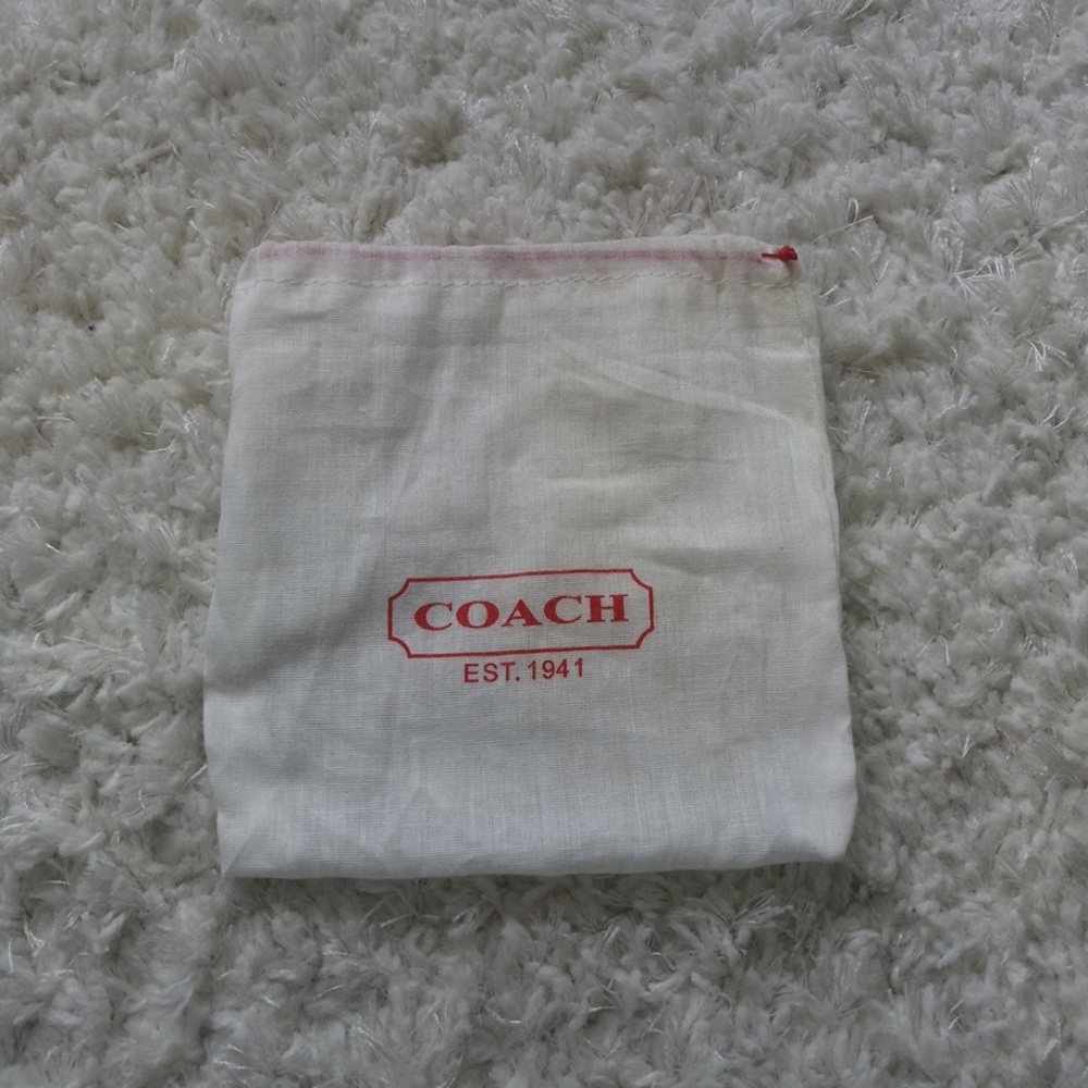 Coach Small Leather Goods / Belt Dust Bag